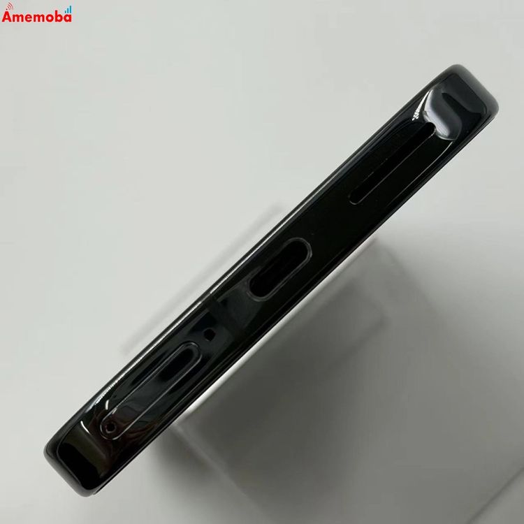 Google Pixel 9 Pro 256GB �֥�å� GWVK6    ���ȥ���SIM�ե꡼