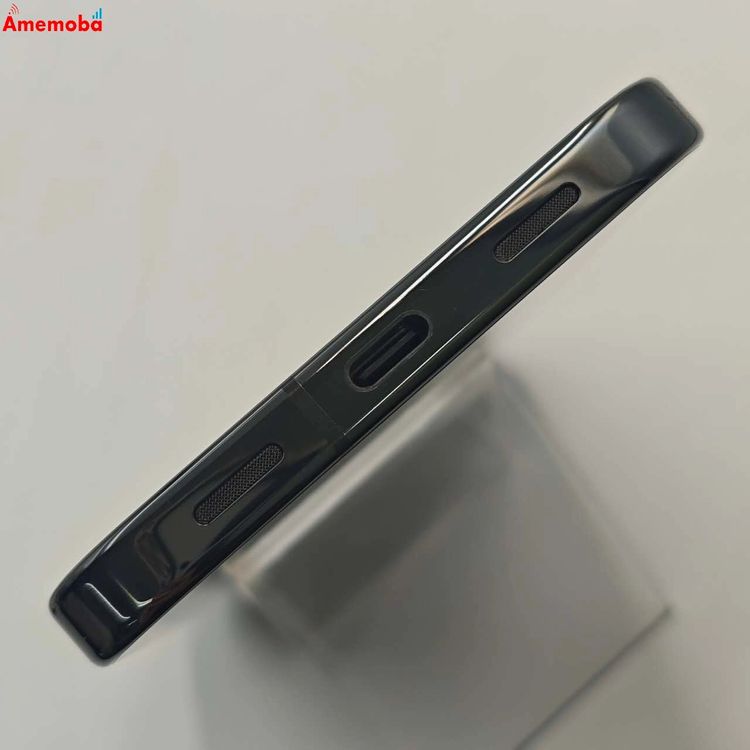 Google Pixel 10 Pro XL 256GB Obsidian GYPW4 ���ȥ���SI