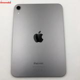 iPad mini ��7���� Wi-Fi��ǥ� 256GB ���ڡ������쥤 4XNA3ZN/A ̤��