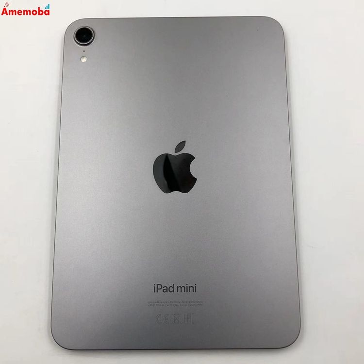 iPad mini ��7���� Wi-Fi��ǥ� 256GB ���ڡ������쥤 4XNA3ZN/A ̤��