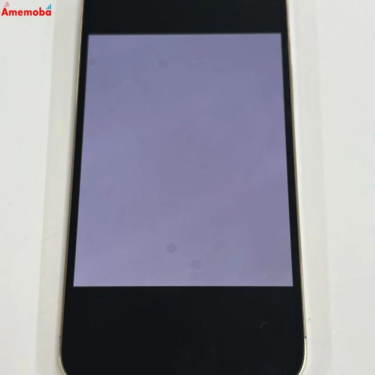 iPhone13 Pro Max 128GB ������� MLJ63J/A docomo��SIM�ե꡼