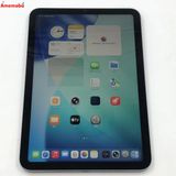 iPad mini ��7���� Wi-Fi��ǥ� 256GB ���ڡ������쥤 4XNA3ZN/A ̤��