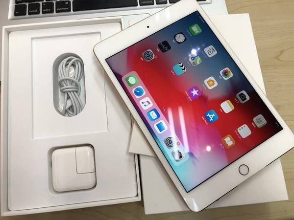 ムスビー｜爆速発送 充電81回 バッテリー100% 極美品 iPad mini 4 64GB 