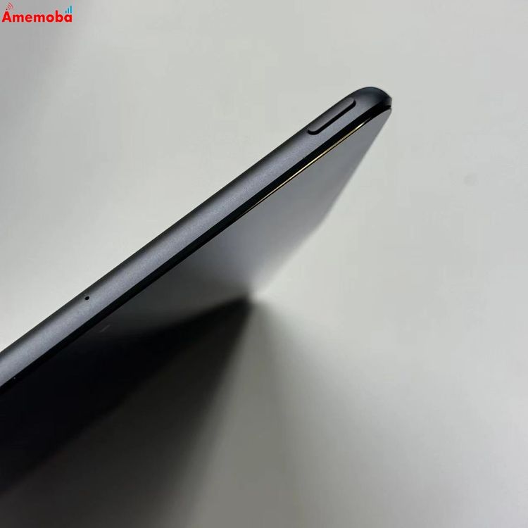 iPad mini ��5���� Wi-Fi��ǥ� 64GB ���ڡ������쥤 MUQW2J/A �����