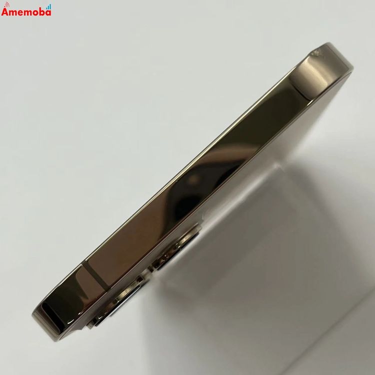 iPhone12 Pro Max 256GB ������� MGD13J/A SIM�ե꡼ �������