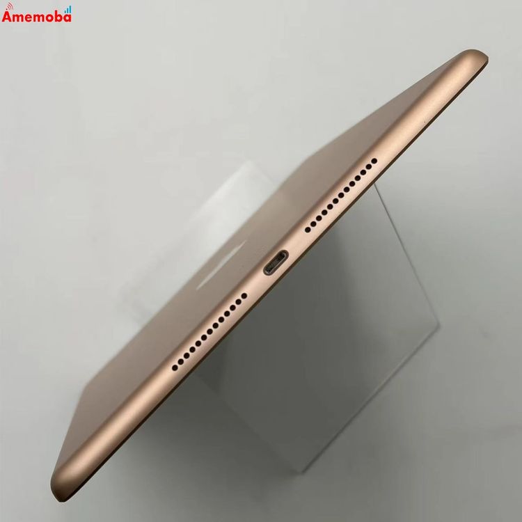iPad ��7���� Wi-Fi+Cellular��ǥ� 32GB ������� MW6D2J/A Sof