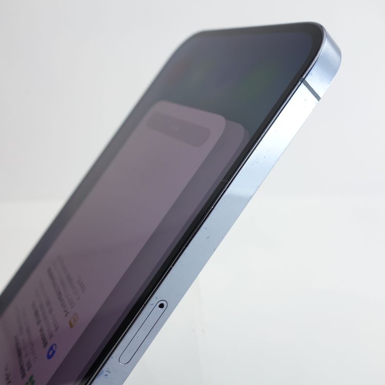 �ڥ���󥯡�iPhone13 Pro Max 256GB ������֥롼 ����100�� ����������