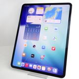 ��13�������iPad Pro (M4) ��7���� 256GB ���ڡ����֥�å� Wi-Fi��ǥ�