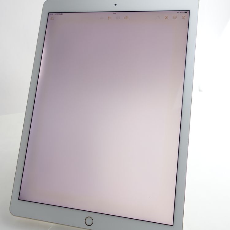 ��12.9�������iPad Pro ��2���� 64GB ������� ����100�� SIM�ե꡼
