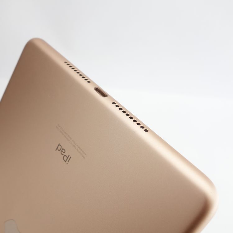 ��7.9�������iPad mini 5 64GB ������� ����82�� �������¡� SIM�ե꡼