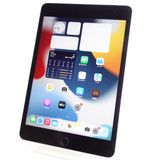 ��7.9�������iPad mini 4 128GB ���ڡ������쥤 ����100�� SIM�ե꡼