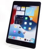 【7.9インチ】iPad mini 4 128GB スペースグレイ 電池92% Wi-Fiモデル