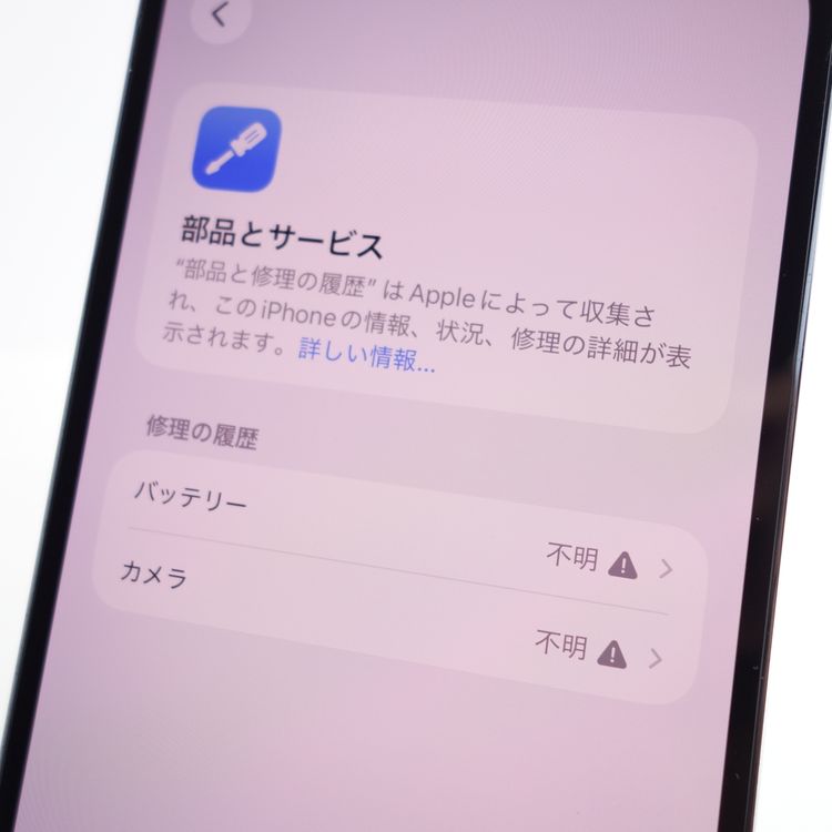 �ڥ���󥯡�iPhone13 Pro Max 256GB ������֥롼 ����100�� ����������