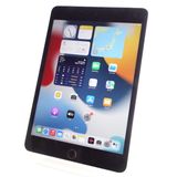 ��7.9�������iPad mini 4 32GB ���ڡ������쥤 ����87�� �������¡�