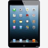 Wi-Fiǥ iPad mini ֥å졼 64GB