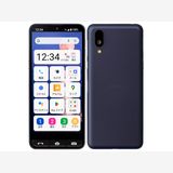 SIMե꡼ BASIO active2 SHG12 ͥӡ 64GB