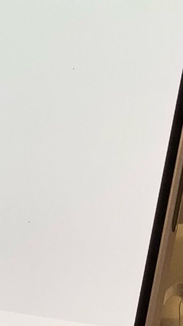 AQUOS sense7 SH-53C �饤�ȥ��åѡ� �ɥ��� SIM�ե꡼ 128GB 6GB