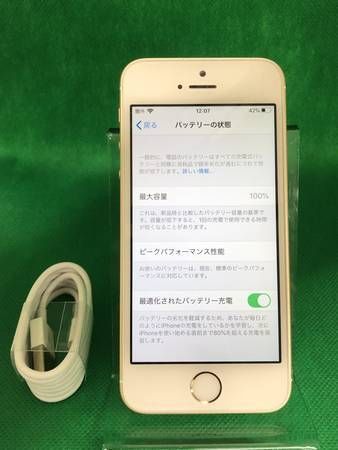 �Хåƥ꡼���ʡ� SIM�ե꡼ iPhone SE 16GB ������� USB���ޤ�