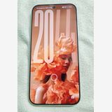 Xiaomi 17 Pro Max ۥ磻 