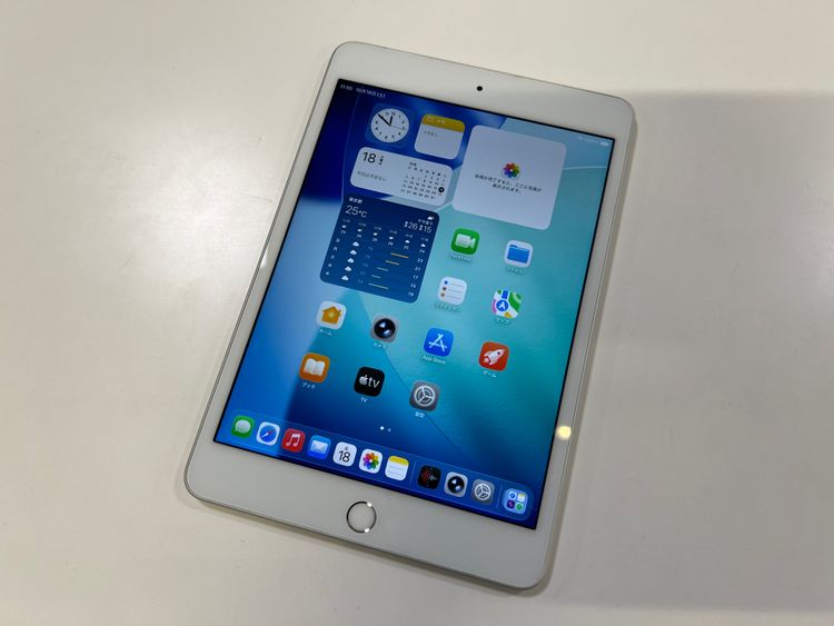 ڽŹѡiPad mini5 64GB С Cellularǥ