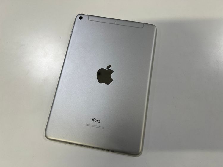 ڽŹѡiPad mini5 64GB С Cellularǥ