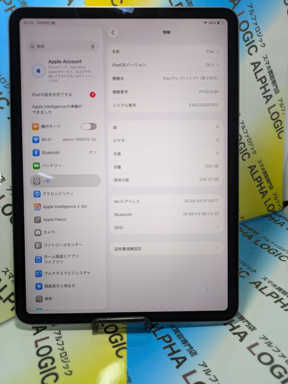 iPad Pro 11��������裳�����/256GB/���ڡ������쥤/��������