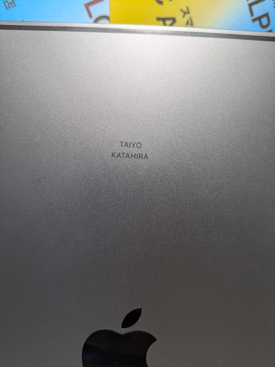iPad Pro 11��������裳�����/256GB/���ڡ������쥤/��������