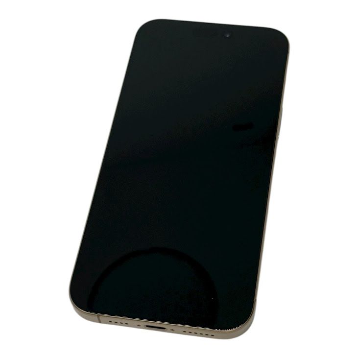 ڥХåƥ꡼100iPhone16ProMax256GBǥȥ˥ࡡau