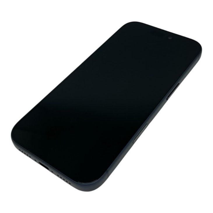 �ڥХåƥ꡼100%��iPhone��17Pro��256GB���ǥ����ץ֥롼��SIM�ե꡼