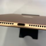 ʡiPad mini5 64GB SIMե꡼ °ʴ̵5577
