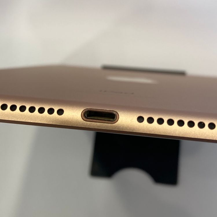 ʡiPad mini5 64GB SIMե꡼ °ʴ̵5577