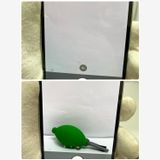 ����100���iPhone 13Pro 128GB  SIM�ե꡼����С� �����ԡ���ȯ����2612