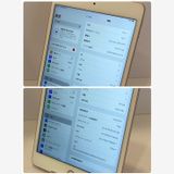 ʡiPad mini5 64GB SIMե꡼ °ʴ̵5577