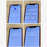 ����Ʊ�͡�iPhone 12 128GB Softbank��SIM�ե꡼ ����100������ԡ���ȯ��