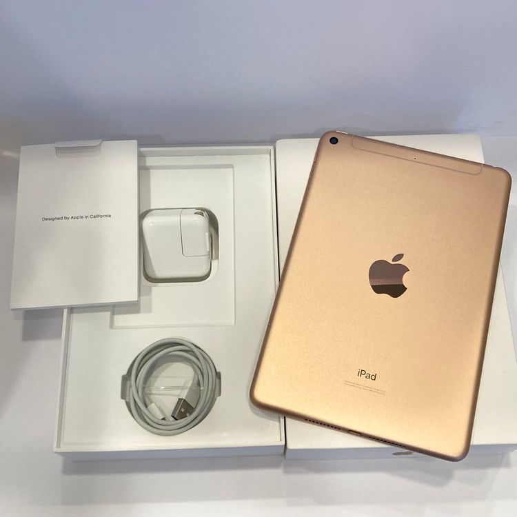 ʡiPad mini5 64GB SIMե꡼ °ʴ̵5577