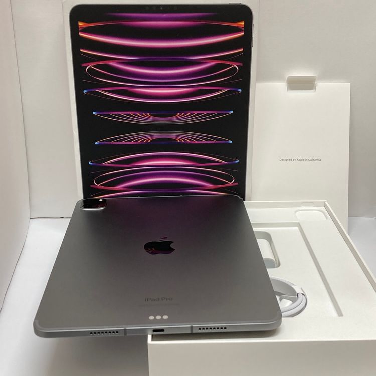 100 iPad Pro 11 4th Wi-Fi + Cellular  256GB