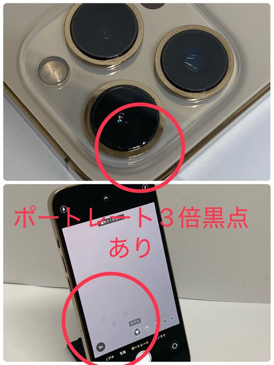 ��iPhone 13Pro 256GB SIM�ե꡼ ������ɢ����񥹥ԡ���ȯ����3512