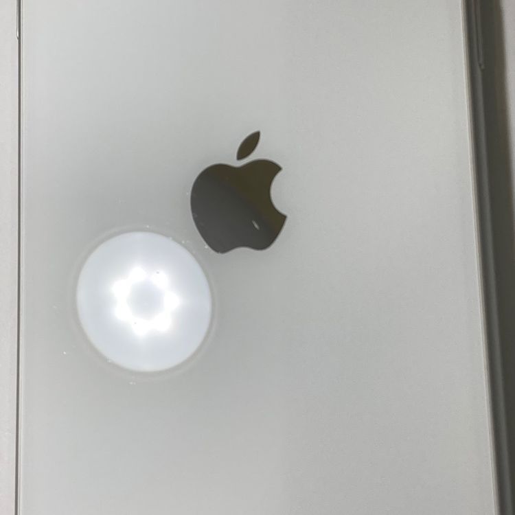 ������ʡ�iPhone SE2 64GB SIM�ե꡼ �ۥ磻�� ���������������̵��