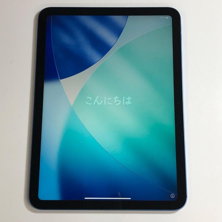��Ķ���ʡ�Apple iPad A16 ��11���� 256GB ����顼