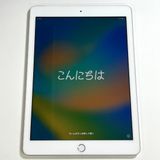 �����ʡ�iPad ��5���� 9.7����� 32GB Wifi+����顼