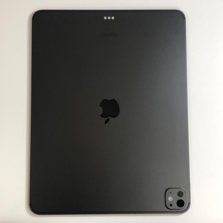 �ڿ���Ʊ�͡�iPad Pro 13����� M4 256GB ����顼
