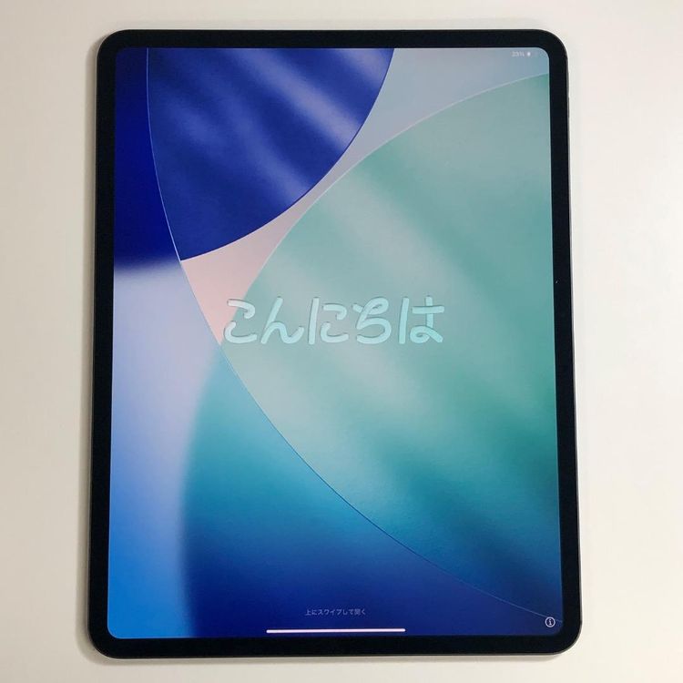 �ڿ���Ʊ�͡�iPad Pro 13����� M4 256GB ����顼