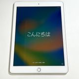 �����ʡ�iPad ��5���� 9.7����� 32GB Wifi+����顼