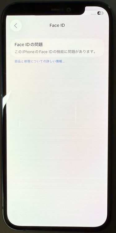 訳あり! iPhone 12 64GB SIMフリー 電池77% 【アップルバイヤーズ】