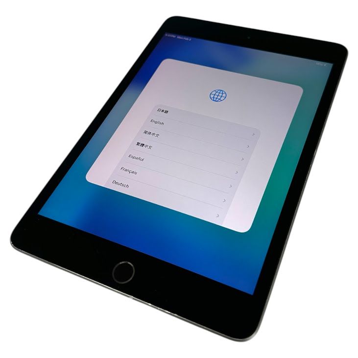 iPadmini��5��Wi��Fi��Cellular��256GB�����ڡ������쥤��SIM�ե꡼