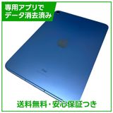 【バッテリー100%】iPad 10 セルラー 256GB ブルー SIMフリー ドコモ版