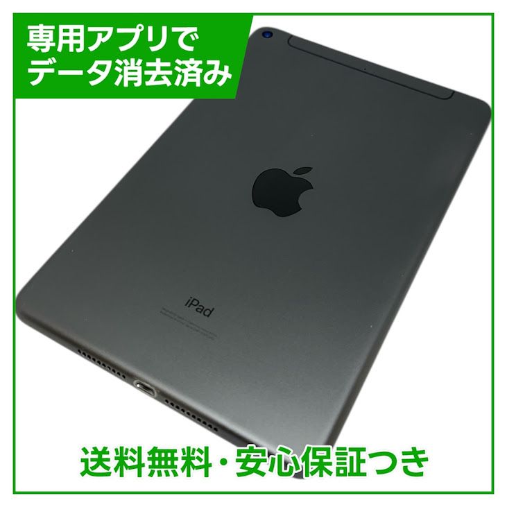 iPadmini��5��Wi��Fi��Cellular��256GB�����ڡ������쥤��SIM�ե꡼