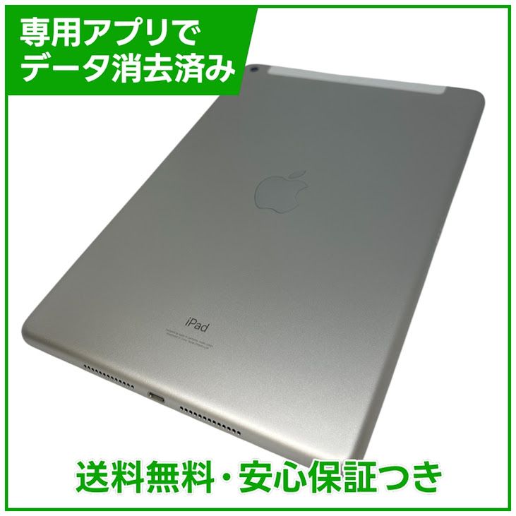 iPad��9��Wi��Fi��Cellular��64GB������С���SIM�ե꡼�����եȥХ���