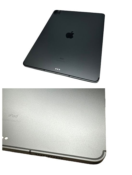 ڥХåƥ꡼100%iPadPro5塡12.9顼ǥ롡1TB쥤