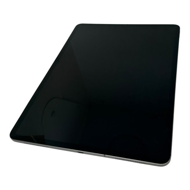 �ڥХåƥ꡼100%��iPadPro��12.9�������4���塡256GB